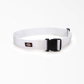 Painter's Heavy-Duty Work Tool Belt, 2" For Men|Women | Dickies