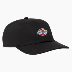 Low Pro Logo Dad Hat For Men|Women | Dickies