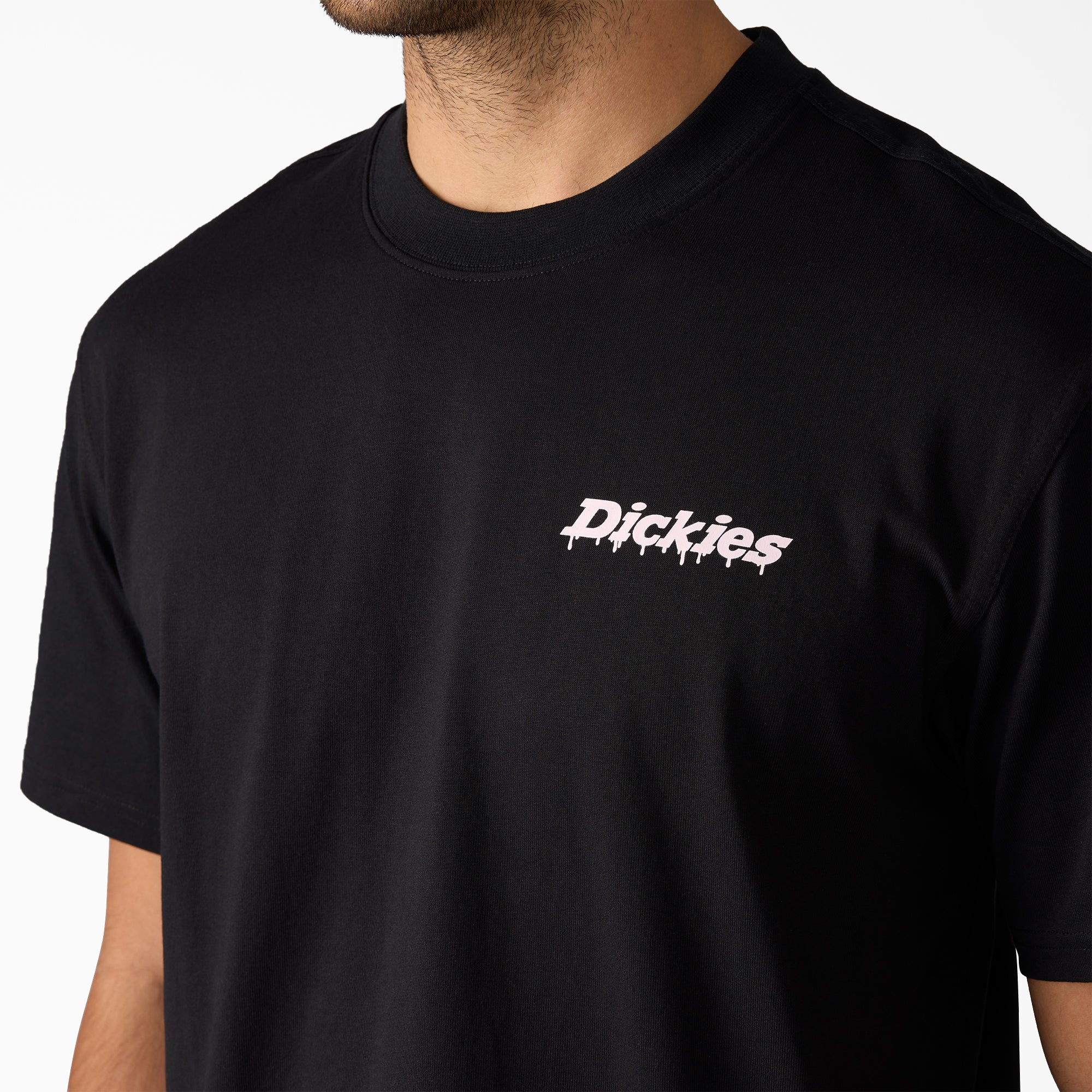 Statesville Graphic T-Shirt For Men|Sale | Dickies