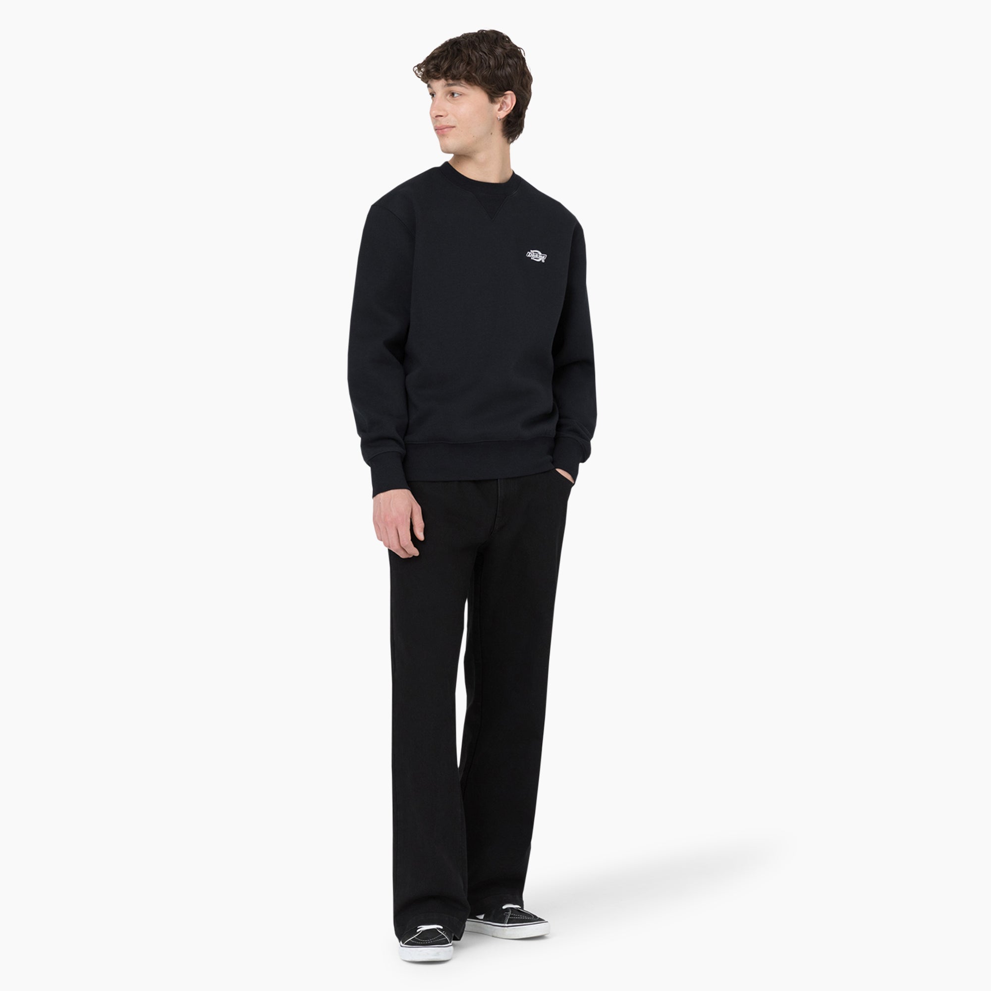 Dickies Skateboarding Wingville Loose Fit Jeans For Men | Dickies