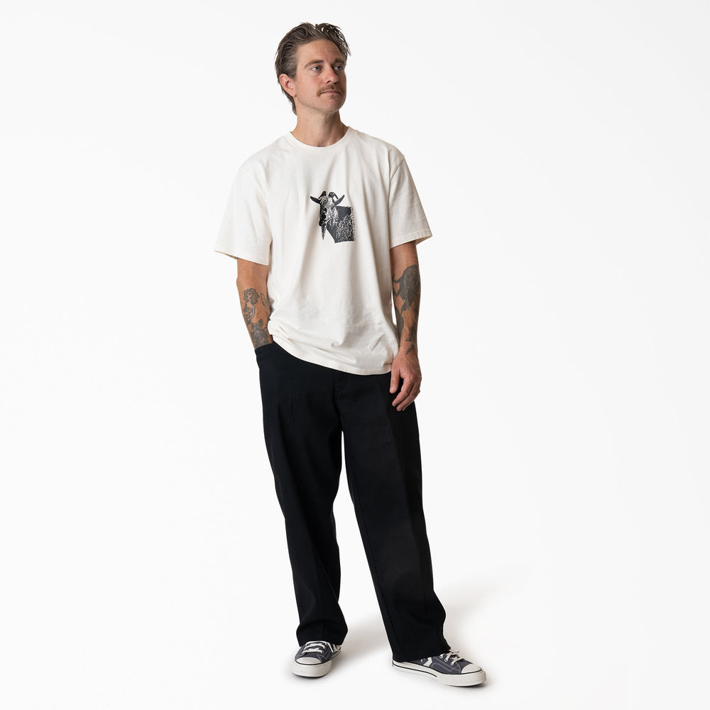 Mike Anderson Loose Fit Work Pants For Men|Sale | Dickies
