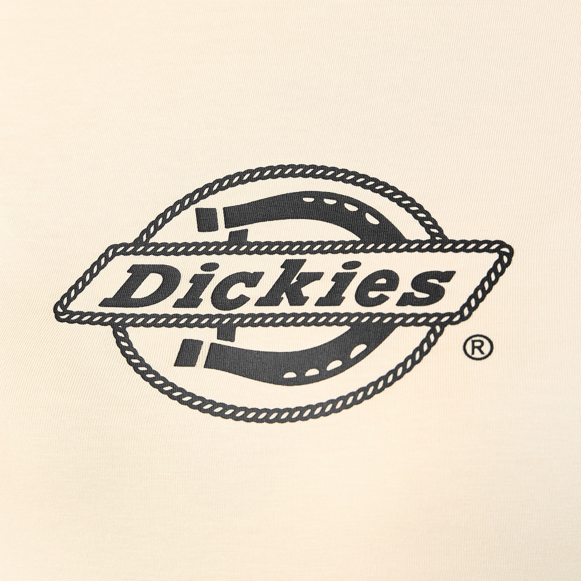Women's Fort Shaw Raglan T-Shirt For Women|Sale | Dickies